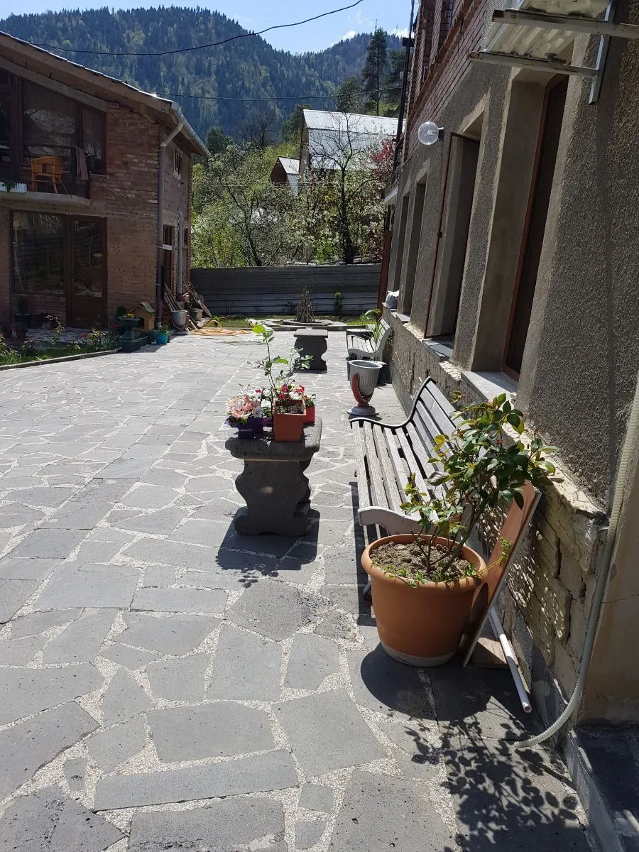 Medi — Photo 3
