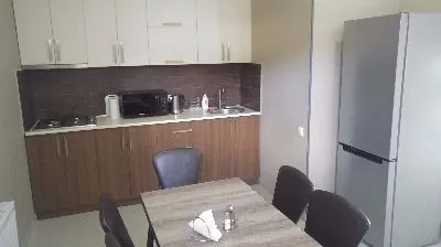 კოტეჯები ბაკურიანში — ფოტო 8