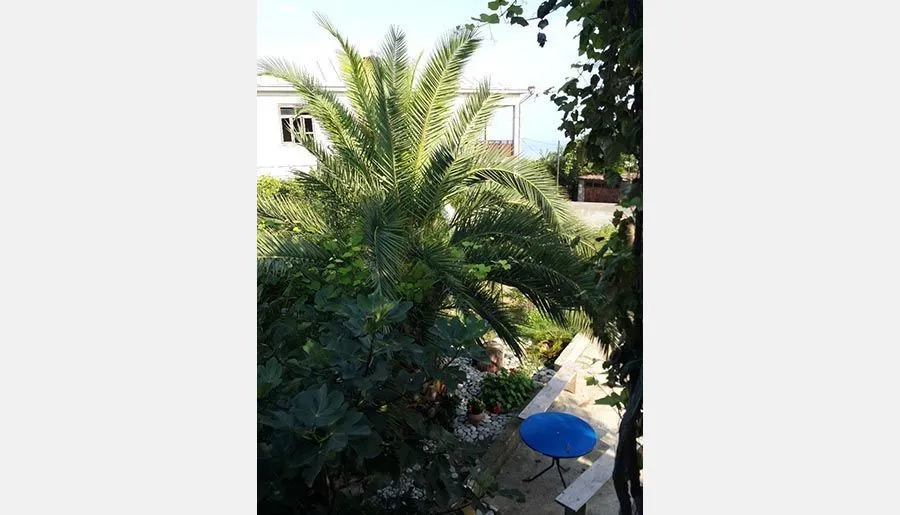 BIS-A Guesthouse — Photo 7