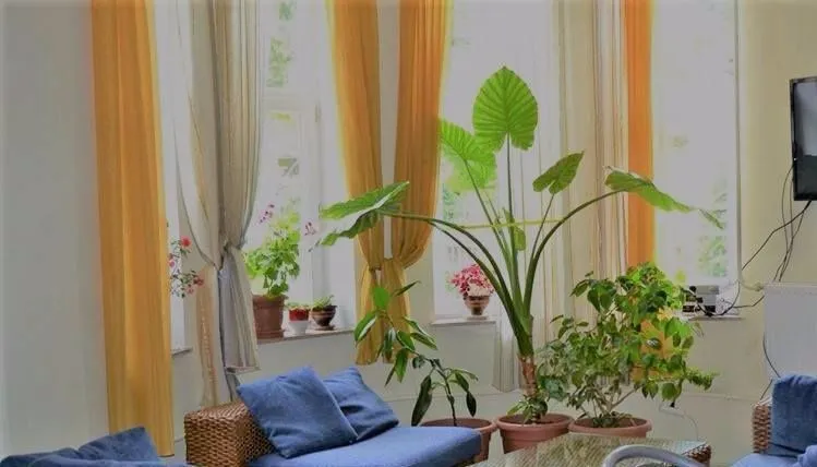 კაპა — ფოტო 31