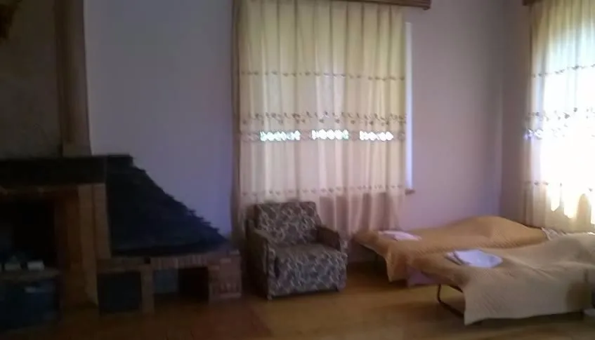 გრემი — ფოტო 26