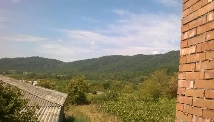 გრემი — ფოტო 14