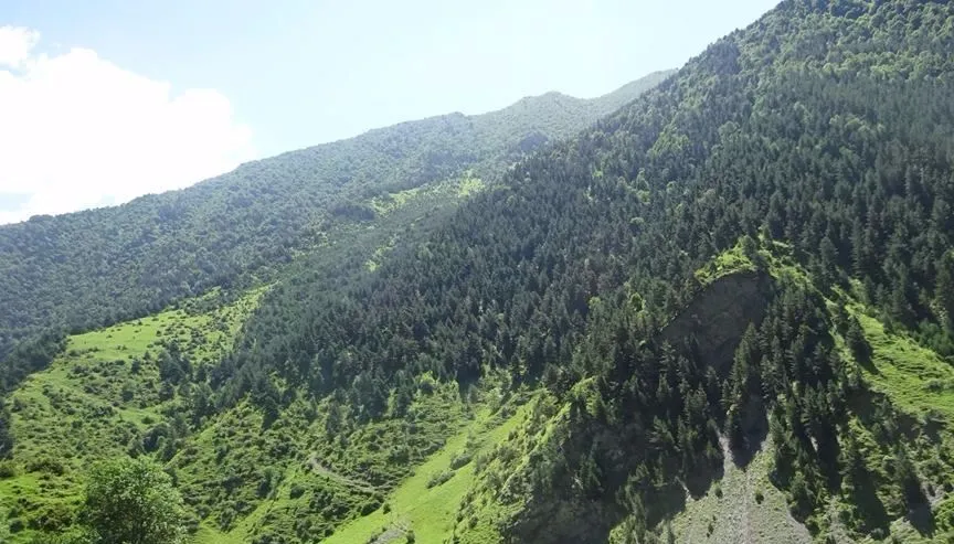 შატილის ვაჟა ჭინჭარაულის საოჯახო სასტუმრო — ფოტო 15