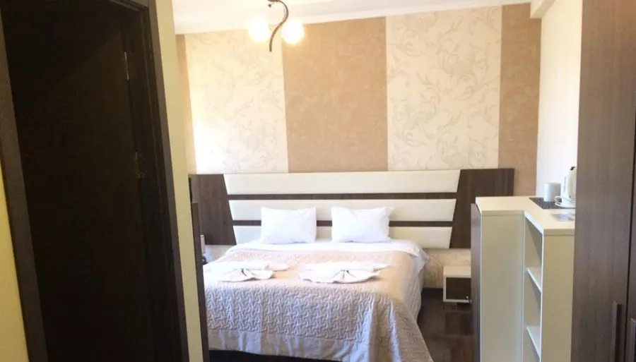 Travel Inn Bakuriani — Photo 49