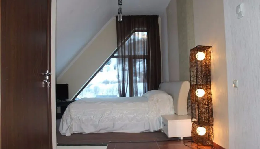 Travel Inn Bakuriani — Photo 47