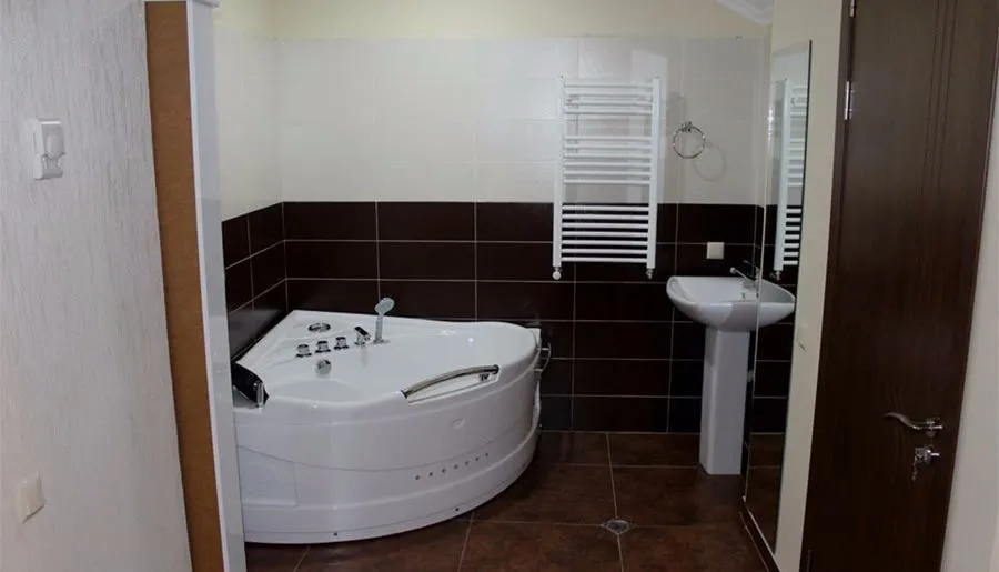 Travel Inn Bakuriani — Photo 55