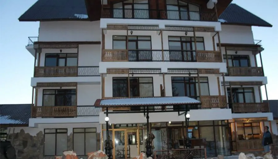 Travel Inn Bakuriani — Photo 8