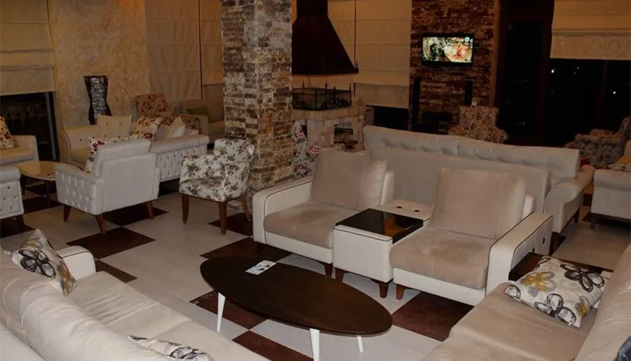 Travel Inn Bakuriani — Photo 36