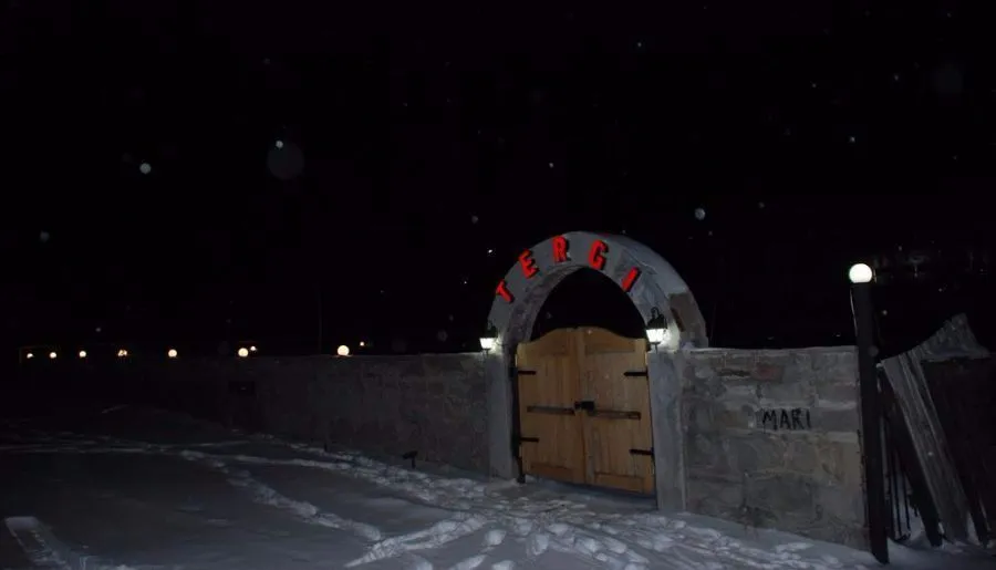 Tergi — Photo 6