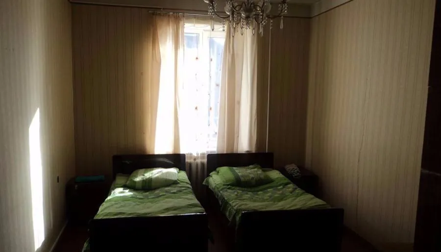 Cico — Photo 17