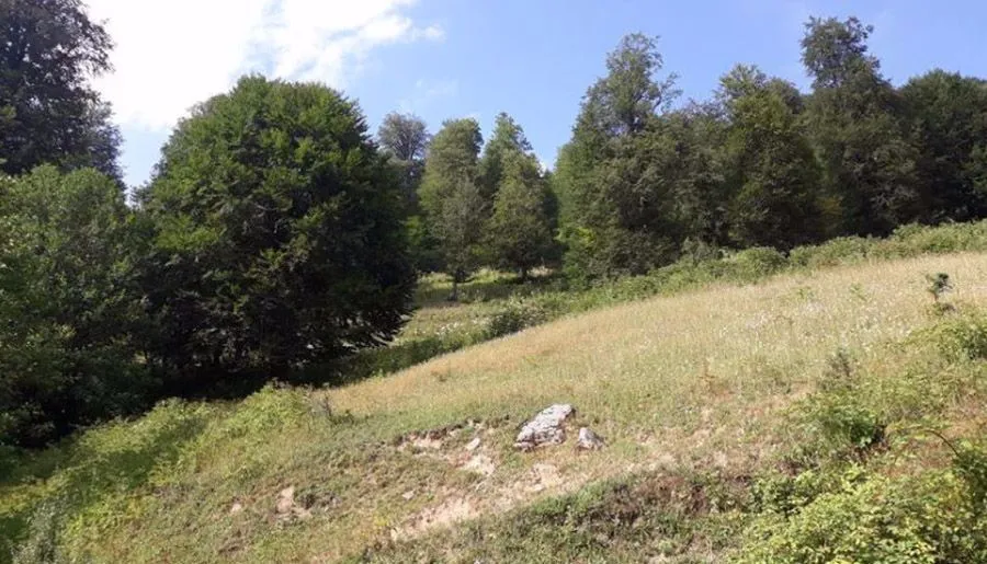 SVANETI — Photo 5