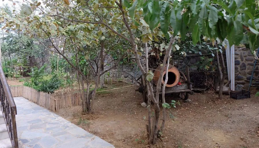 In My Georgian Family — Photo 3