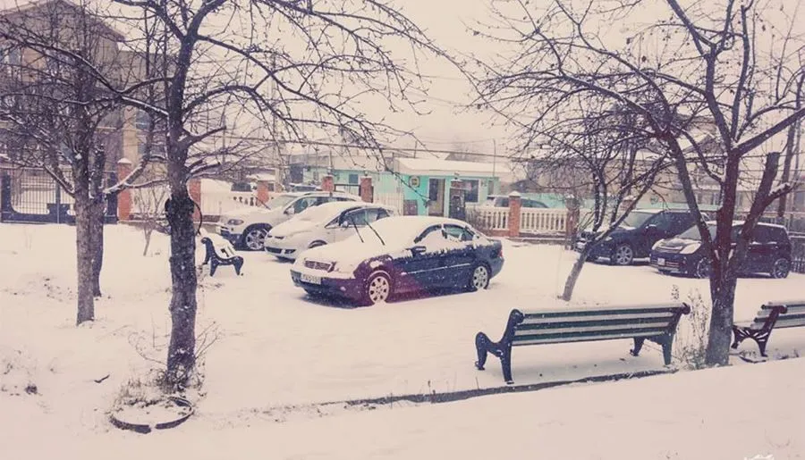 Сандро Папа — Фото 8