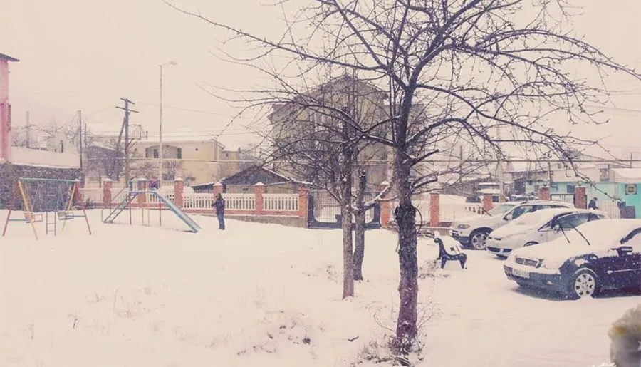Сандро Папа — Фото 11