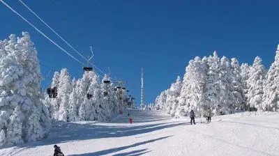 ბაკურიანი რეზიდენსი აპარტამენტი 18 — ფოტო 6
