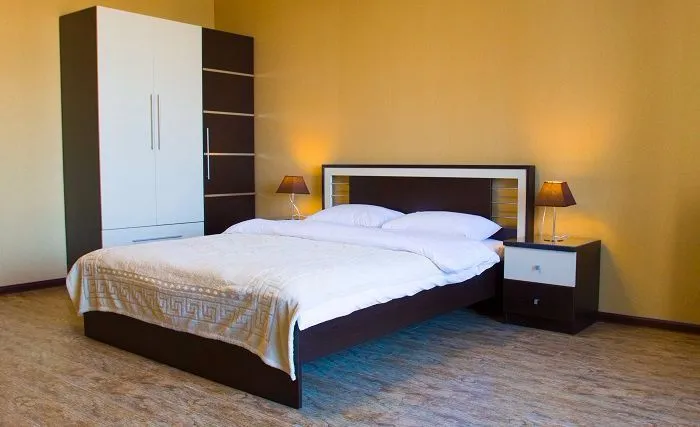 ფიროსმანი — ფოტო 15