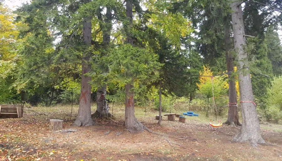 PANORAMA BAKURIANI — Photo 12