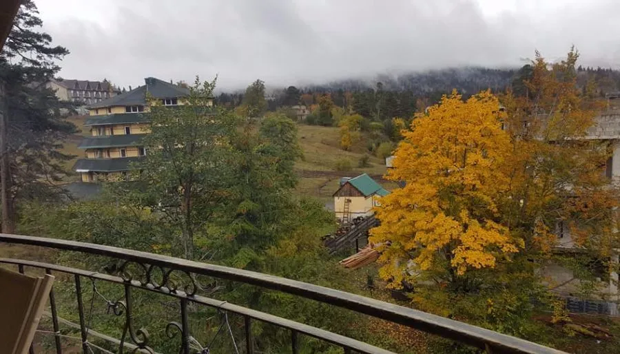 PANORAMA BAKURIANI — Photo 11