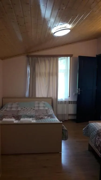 ედელვეისი — ფოტო 51