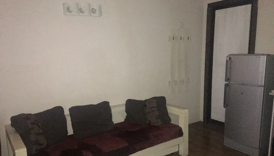 Mgzavrebi apt 110 — Photo 7