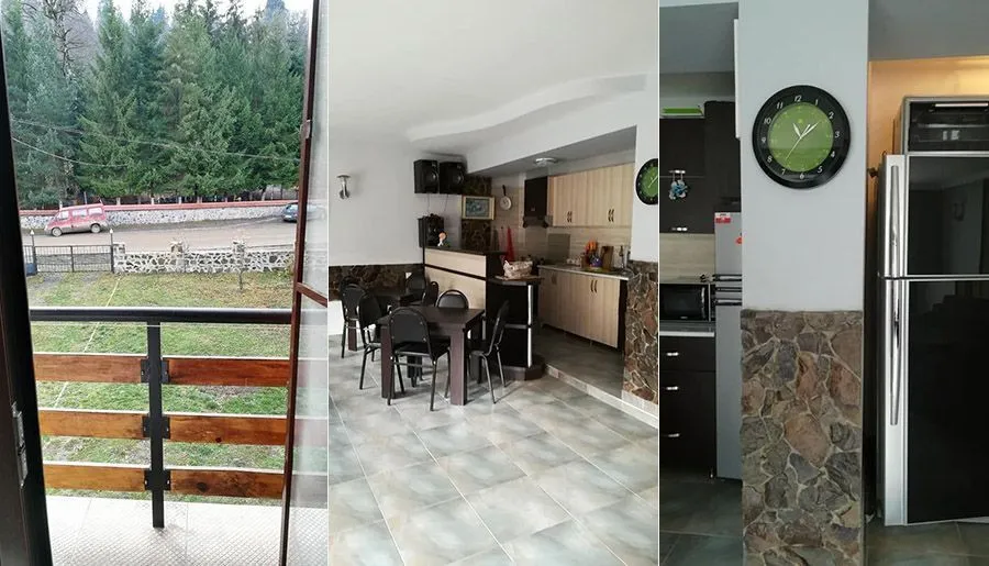 Hotel Bacho Bakuriani — Photo 2