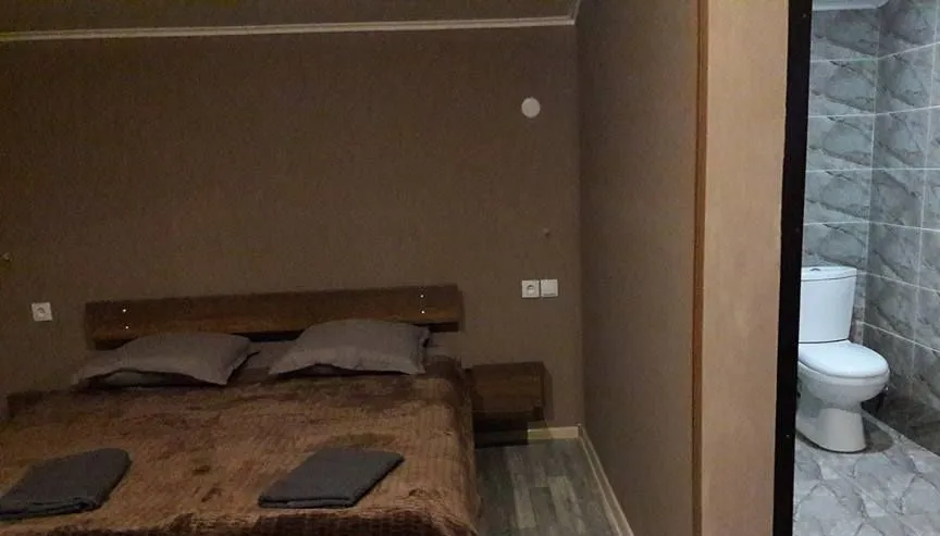 კოტეჯი ბაკურიანში — ფოტო 4