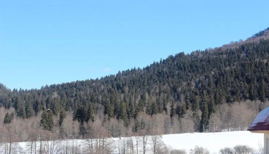 Хейстек Бакуриани — Фото 5