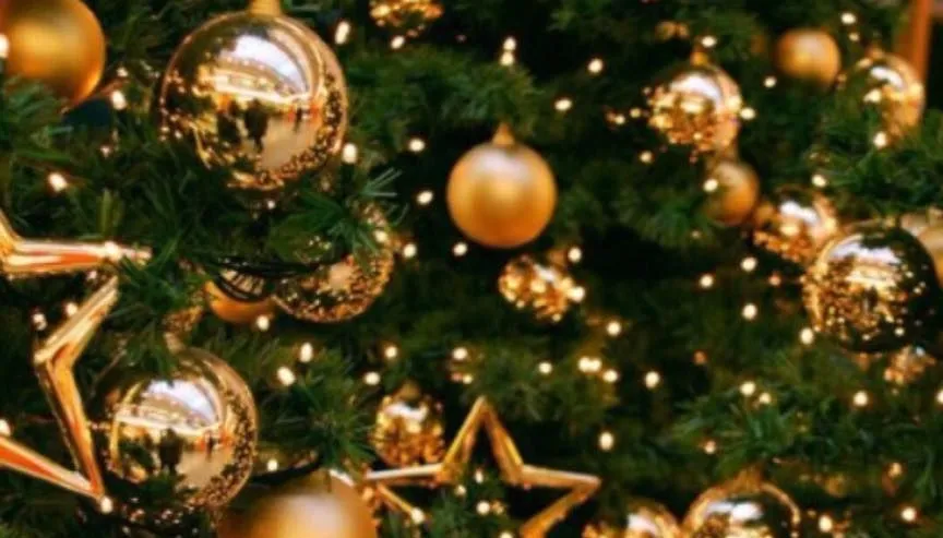 Villa Tetnuldi — Photo 2