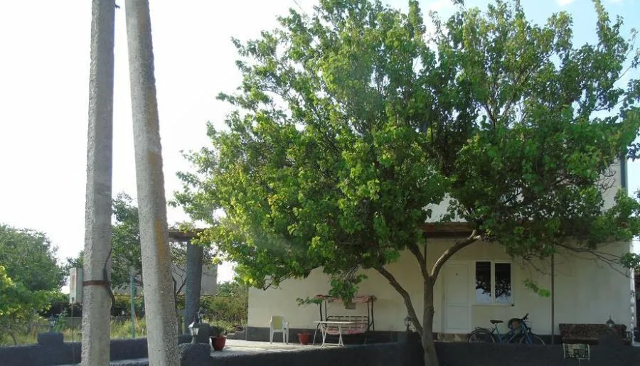 Mamuka's Guesthouse — Photo 2
