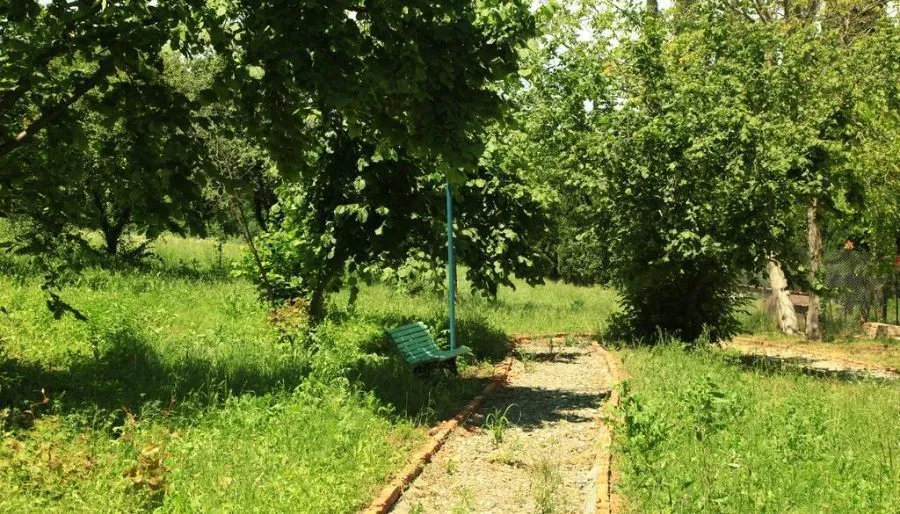 მაროშენი — ფოტო 1