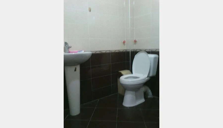 Guesthouse Manglisi — Photo 16