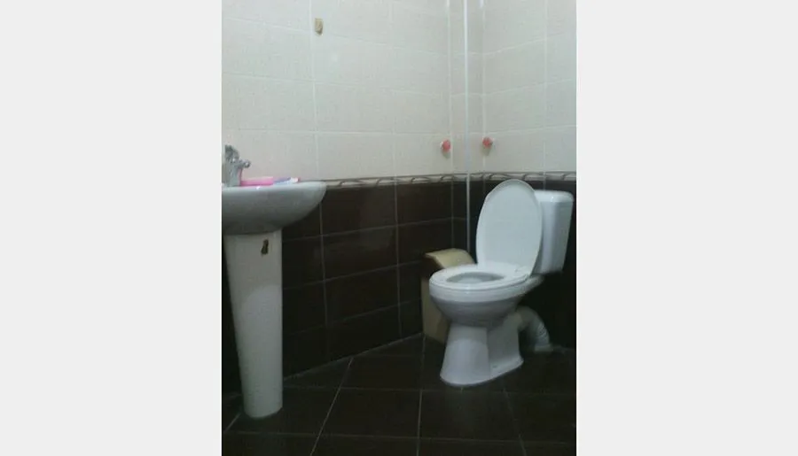 Guesthouse Manglisi — Photo 12