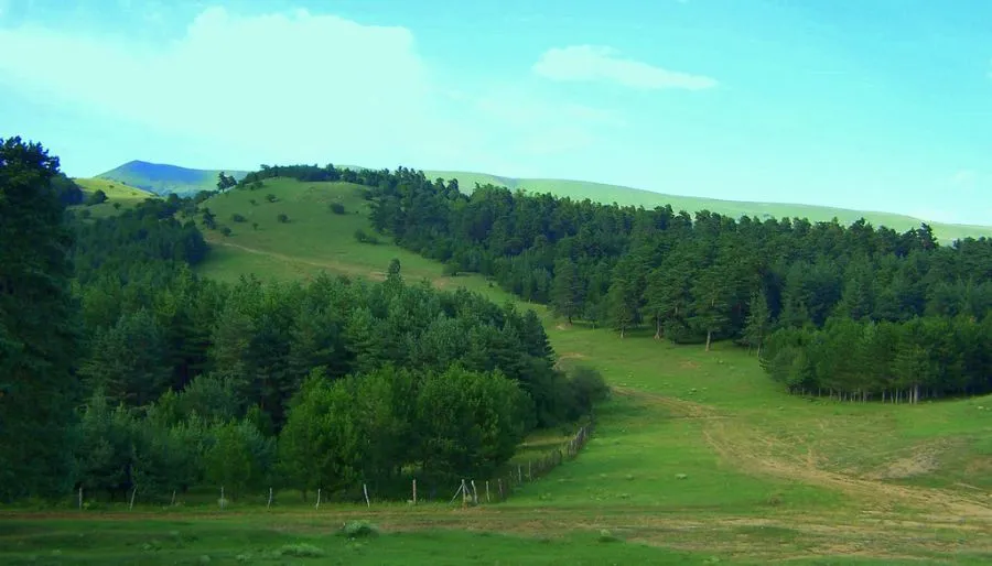 მანგლისი — ფოტო 2