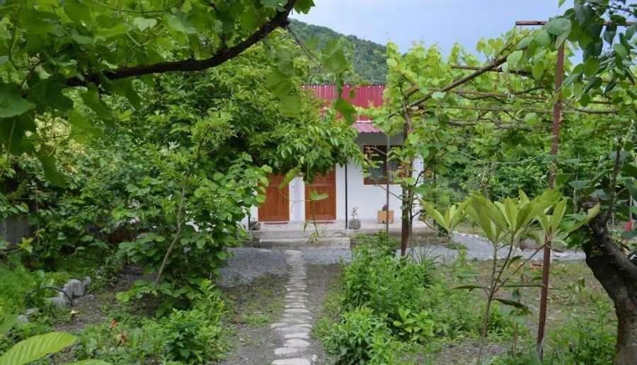 Ludwig Guesthouse Lagodekhi — Photo 4