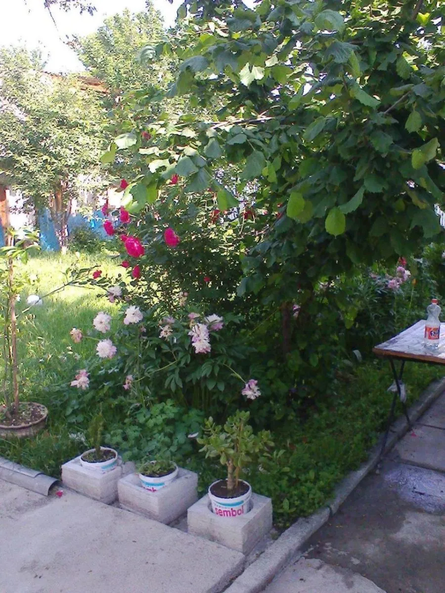 Guest House Akhaltsikhe — Photo 10