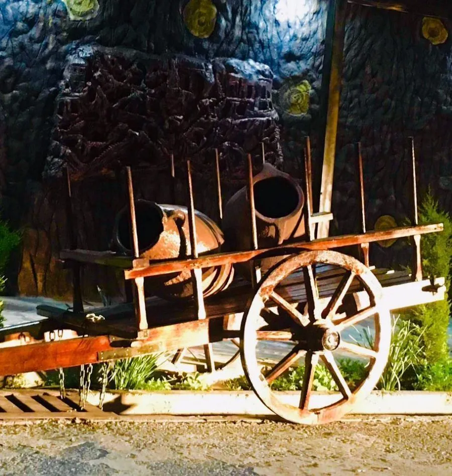Meskhuri Oda — Photo 11