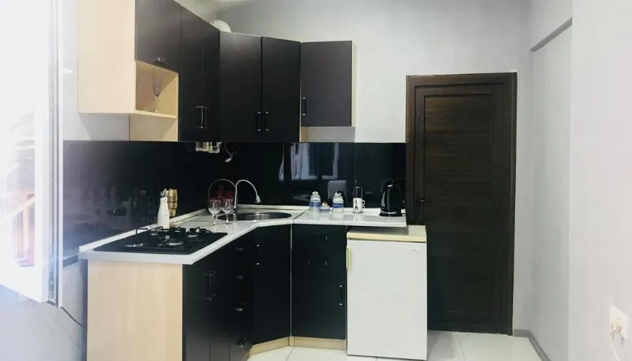Apartment on Asatiani — Photo 18
