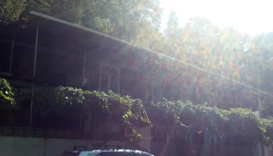 Nima — Photo 3