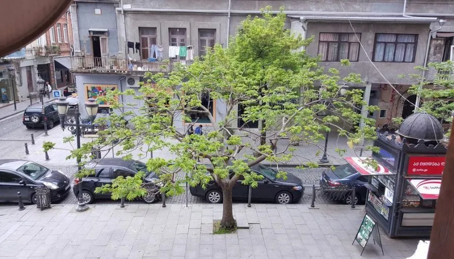 Mary's apartment on Melashvili — Photo 2