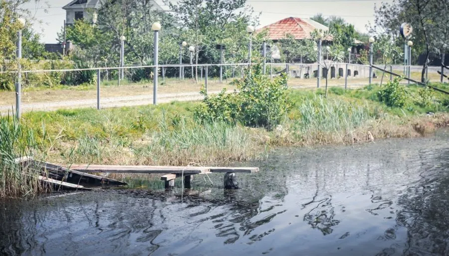 ლაშთანი — ფოტო 3